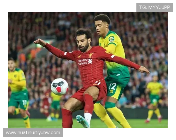 华体会登陆入口常见问题解答，帮助新手便捷快速进入体育世界